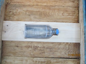 timg_2321.jpg