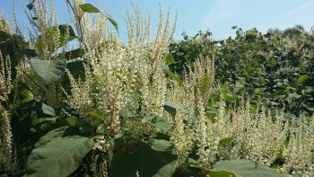 20160819_132006-800x450.jpg