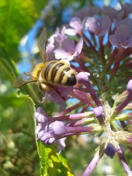 rsz_20160827_112316-1.jpg