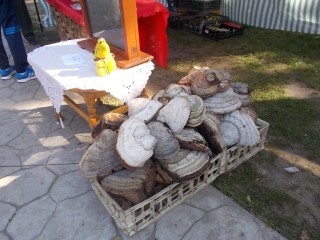 targul mierii 2016 muzeul satului 001.JPG