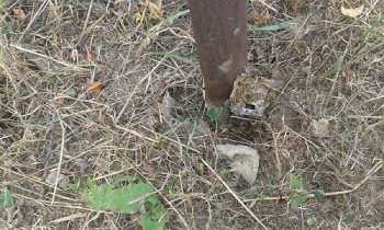20160807_235152.jpg