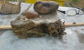 20160807_235452.jpg