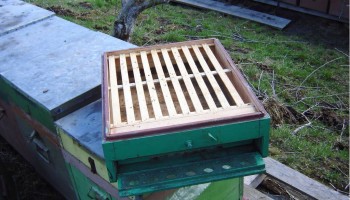 Clipboard02.jpg