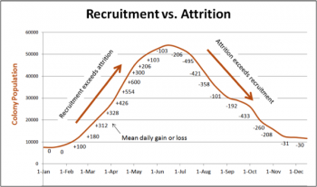 fig-028-600x355.png