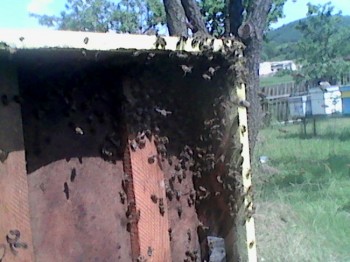 IMG_0428.jpg