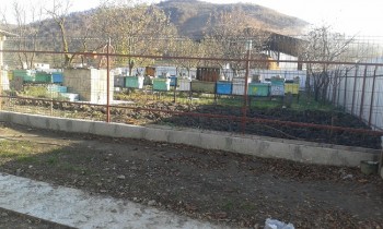 20161101_235442.jpg