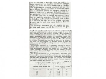 familii slabe in cules.jpg