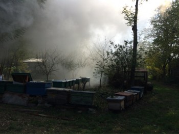 fumigatie.jpg