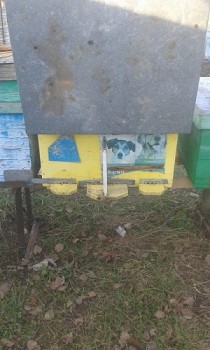 20161120_151147.jpg