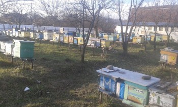 20161120_151318.jpg