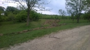 WP_20160506_002.jpg