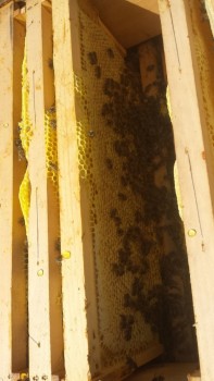 20160819_122512.jpg