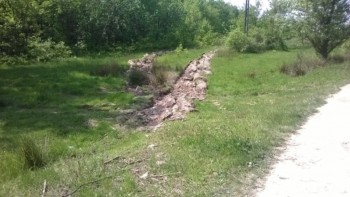 WP_20160505_003.jpg