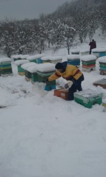 20170107_104618.jpg
