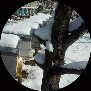 rsz_13.gif