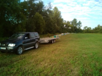 IMG_20160709_072844.jpg