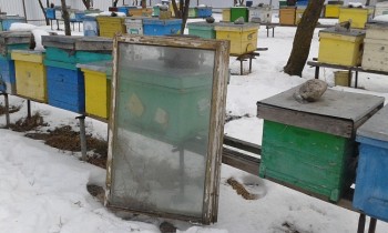 20170121_125256.jpg