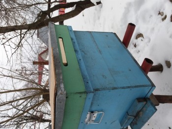20170125_133346_800x600.jpg