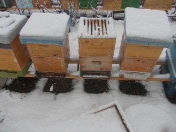 aproape.jpg