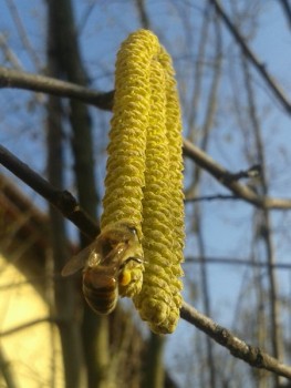 rsz_20170228_155121-1.jpg