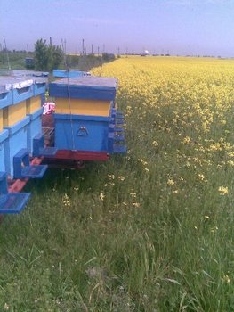Image140.jpg