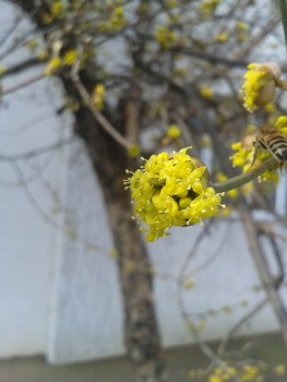 rsz_20170308_121619.jpg