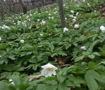 rsz_133.jpg