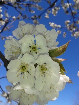 rsz_20170402_150722.jpg