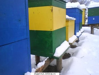 ok_79527.jpg