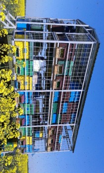 Container rapita.jpeg
