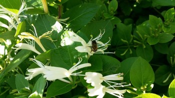 20170530_144804_opt.jpg