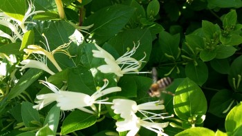 20170530_144805_opt.jpg