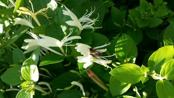 20170530_144808_opt.jpg