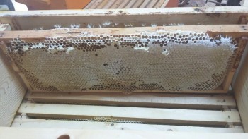 20170531_181046-816x459.jpg
