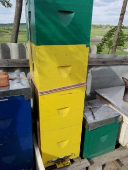 IRS20170608_185946.jpg