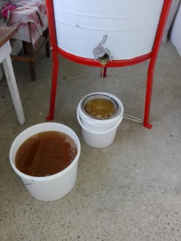IRS20170608_191028.jpg