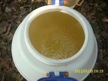 IMG_0571.jpg