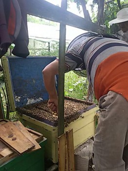 IMG-20170708-WA0001.jpg