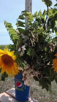 rsz_img_20170717_123940.jpg