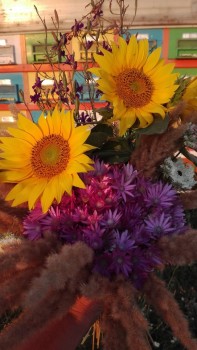 rsz_img_20170719_200720.jpg