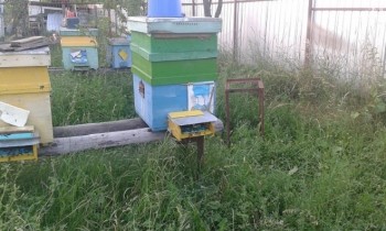 20170701_201232.jpg