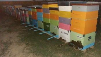 rsz_20170721_215457.jpg