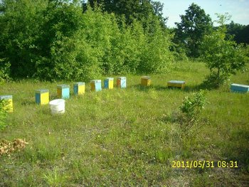 IMG_0576.jpg
