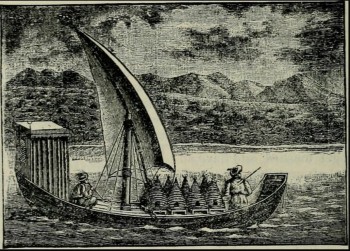 bee boat i.jpg