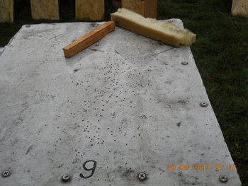 rsz_3dscn1850.jpg