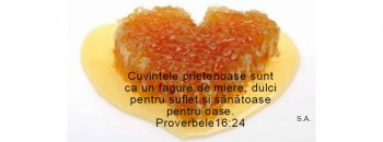 Proverb.16.24.jpg