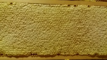 20170817_074202.jpg