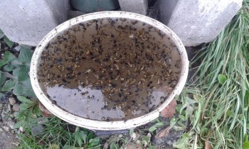20171028_154309.jpg