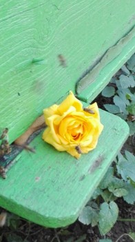 rsz_img_20171102_131951.jpg