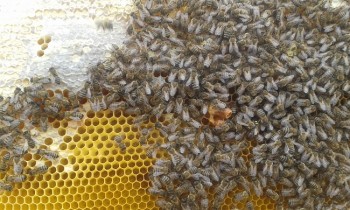 20171104_142140.jpg